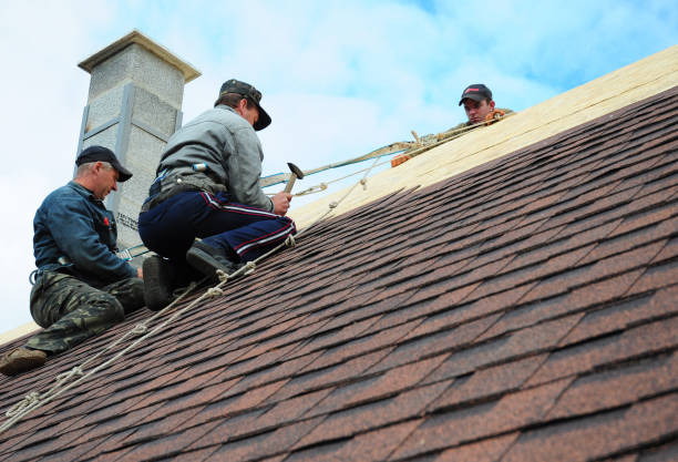 Roof Waterproofing Services in Bardmoor, FL